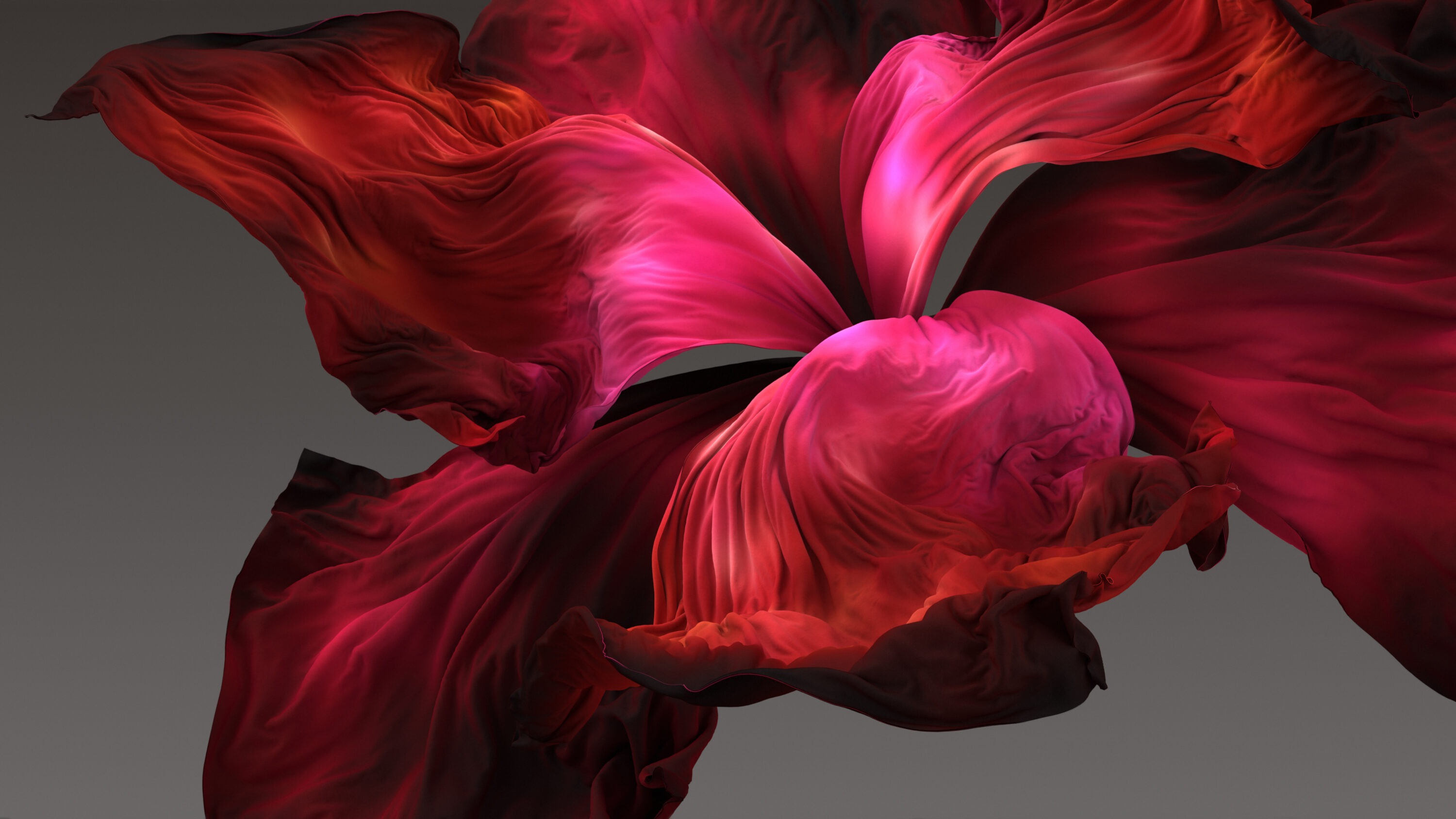 Beckenboden­gesundheit: Rote Iris